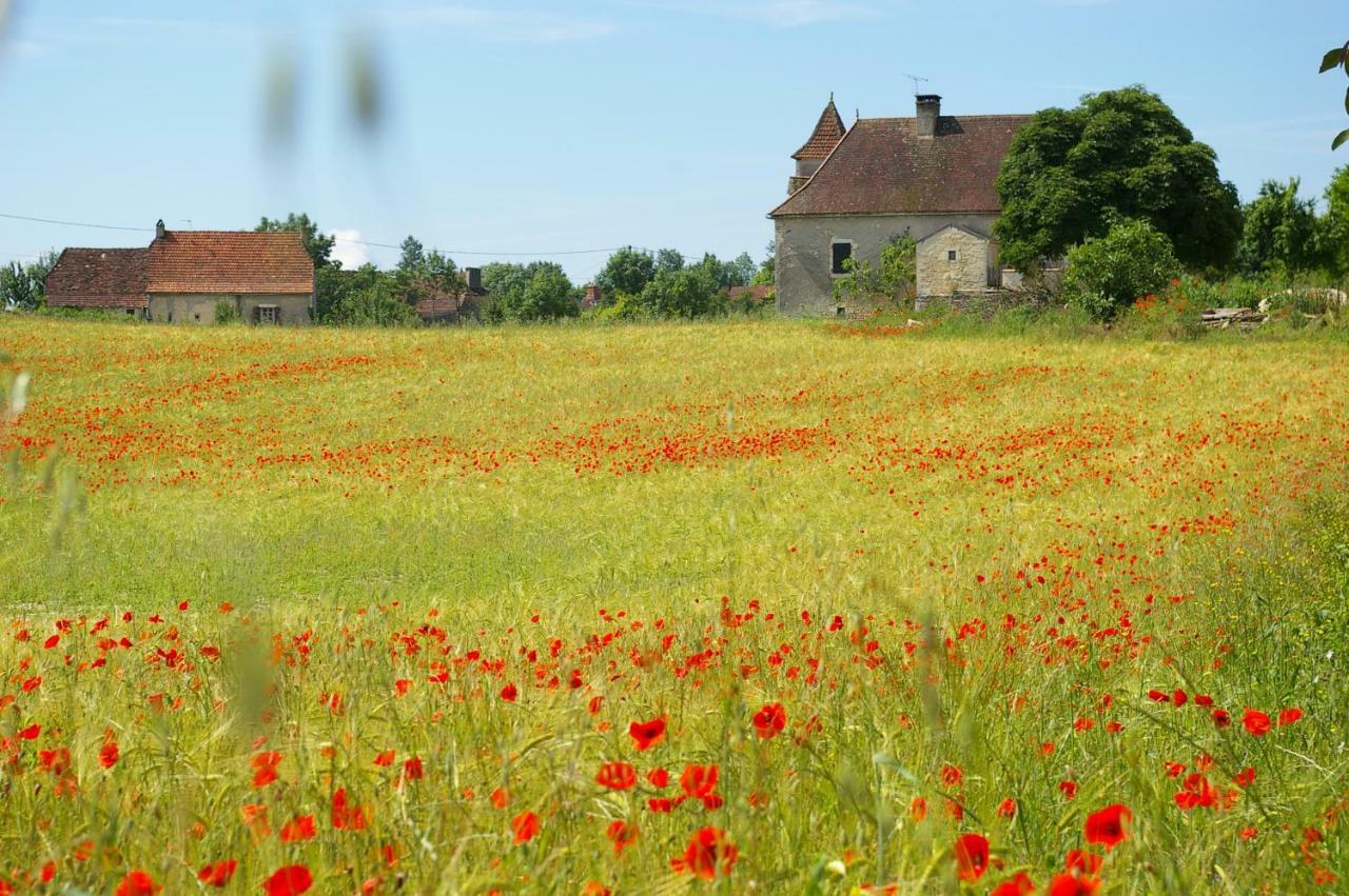 Quercy Stone Gite Marcilhac Екстер'єр фото